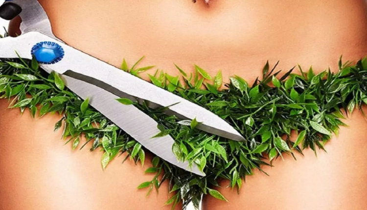 Faut -il raser les poils du pubis ?