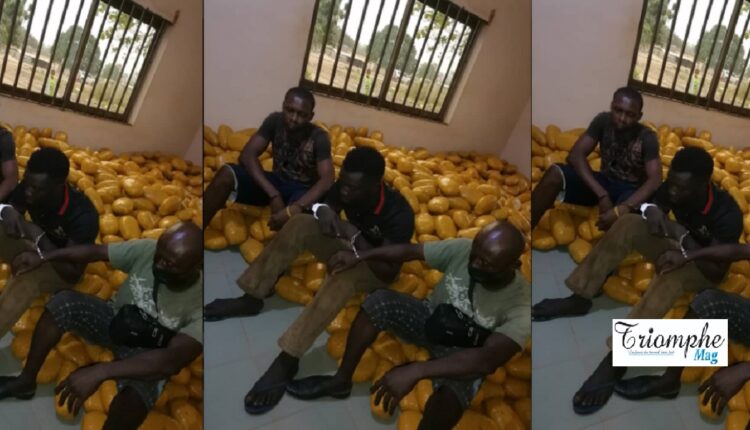 un camion intercepté avec 1500 emballages de produits psychotropes