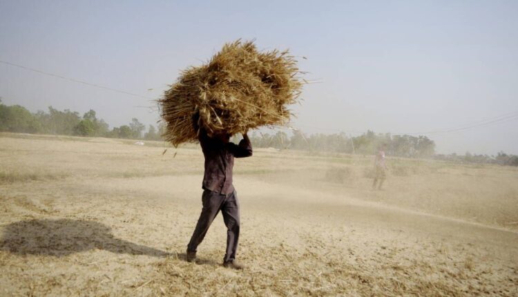 exportations de blé