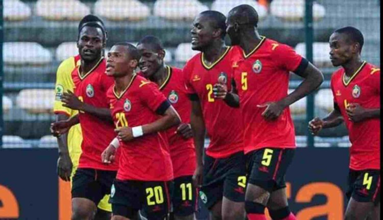 les Mambas du Mozambique