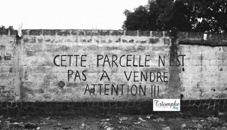 Parcelle, domaine, mafia foncière