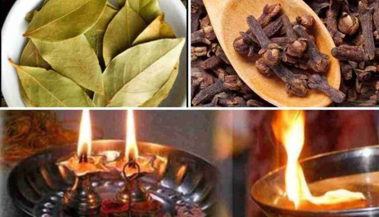 laurier et clou de girofle