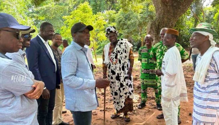 visite du Patrice Talon à la Forêt Sacrée de Kpassè à Ouidah