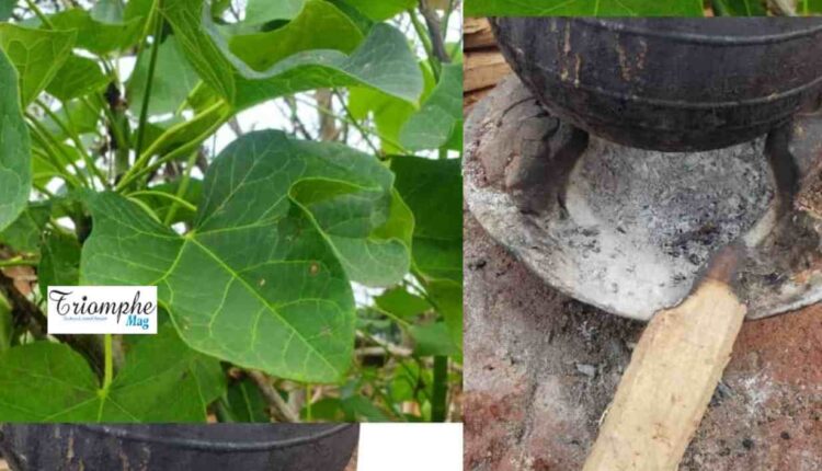 Comment guérir les maux de ventre d'une intensité redoutable qui échappe aux hôpitaux