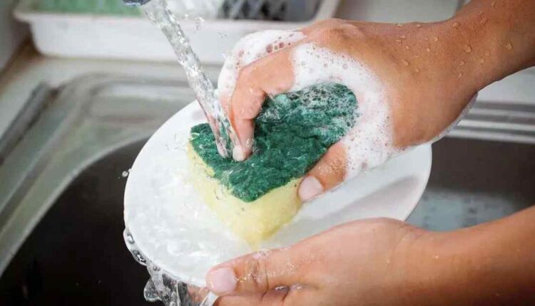 L’éponge à vaisselle