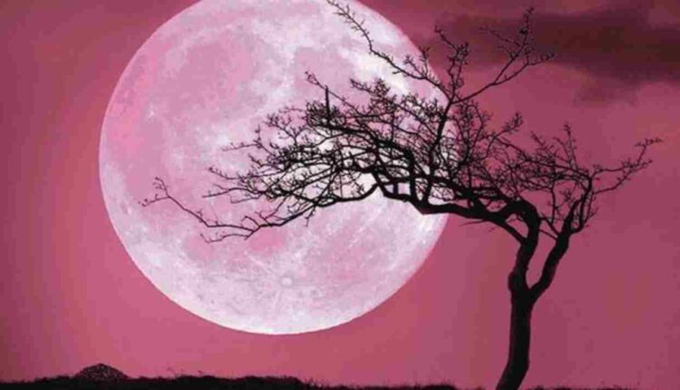 Pleine lune rose en Scorpion