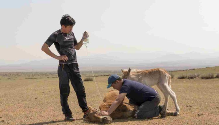 Création du Centre national des produits biologiques à usage vétérinaire au Bénin
