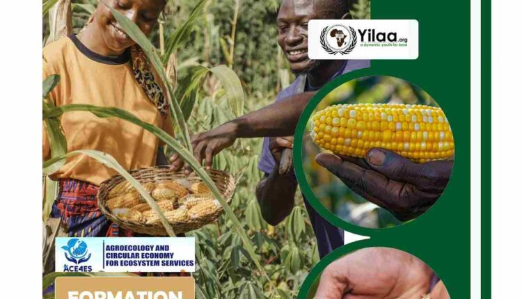 YILAA forme les jeunes et femmes du Borgou à Parakou